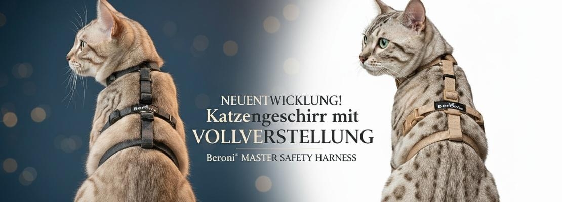 Bestes Katzengeschirr