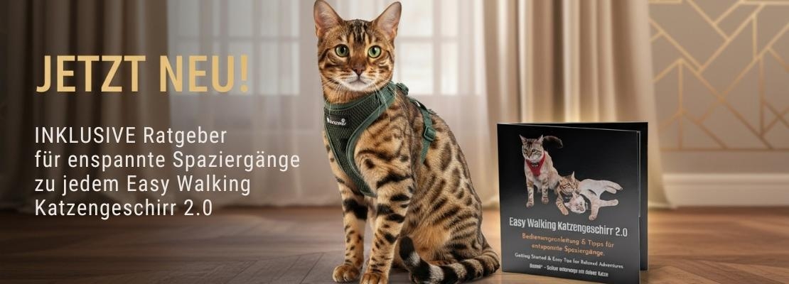 Easy Walking Ratgeber