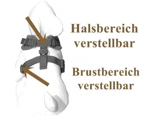 Katzengeschirr Active Softgeschirr schwarz mit Sicherheitsverschluss