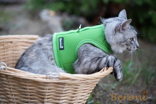 Beroni Katzengeschirr Jacket super soft CLASSIC grn