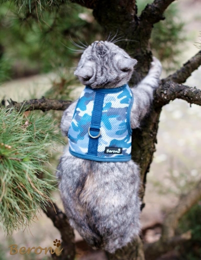 Cat Walking Jacket Beroni camouflage blau Katzengeschirr