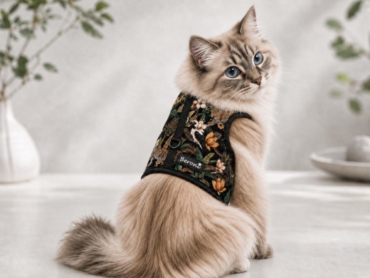 Beroni� Jungle Noir Katzengeschirr