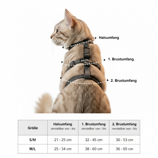 Beroni Master Safety Harness NEUENTWICKLUNG