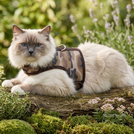 Cat Walking Jacket Beroni camouflage braun Katzengeschirr