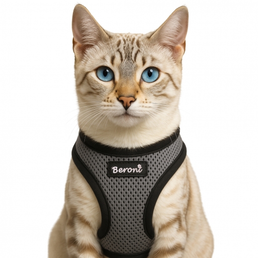 Easy Walking Katzengeschirr 2.0 ausbruchsicher nicht ber Kopf grau