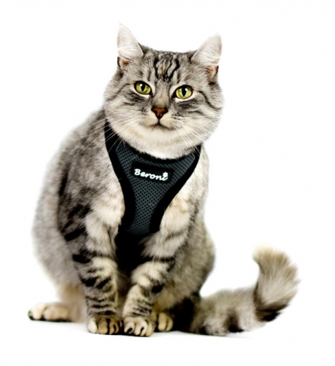 Easy Walking Katzengeschirr 2.0 ausbruchsicher nicht ber Kopf grau