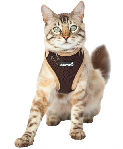 Easy Walking Katzengeschirr 2.0 ausbruchsicher nicht �ber Kopf