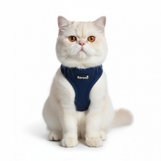 Easy Walking Katzengeschirr 2.0 navy
