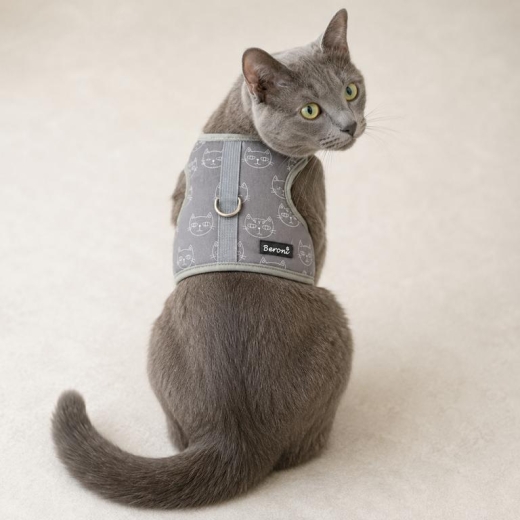 Kitty Jacket Katzengeschirr Looking schwarz Maine Coon Norwegische Waldkatze uvm