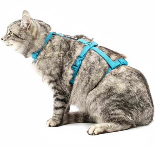 Panikgeschirr Sicherheitsgeschirr Safety Harness Classic skyblue AUSBRUCHSICHER