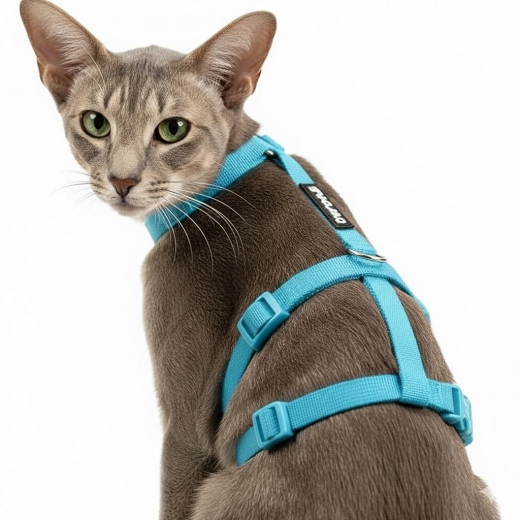 Panikgeschirr Sicherheitsgeschirr Safety Harness Classic skyblue AUSBRUCHSICHER