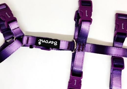 Panikgeschirr Sicherheitsgeschirr Safety Harness Rainbow purple AUSBRUCHSICHER