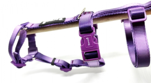 Panikgeschirr Sicherheitsgeschirr Safety Harness Rainbow purple AUSBRUCHSICHER