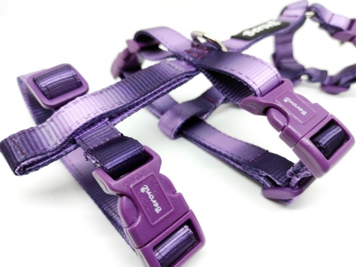 Panikgeschirr Sicherheitsgeschirr Safety Harness Rainbow purple AUSBRUCHSICHER