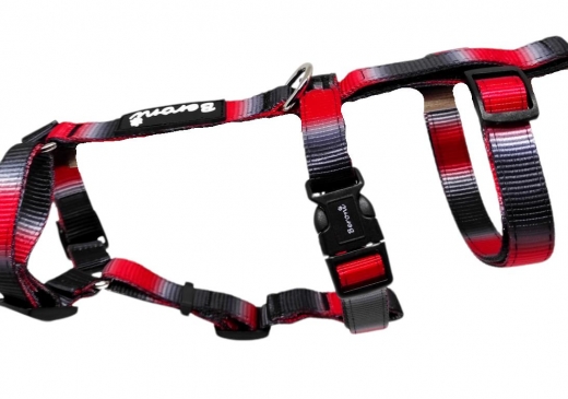 Panikgeschirr Sicherheitsgeschirr Safety Harness Rainbow red AUSBRUCHSICHER