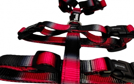 Panikgeschirr Sicherheitsgeschirr Safety Harness Rainbow red AUSBRUCHSICHER