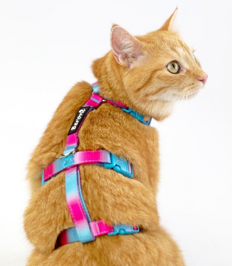 Panikgeschirr Sicherheitsgeschirr Safety Harness Rainbow sky AUSBRUCHSICHER