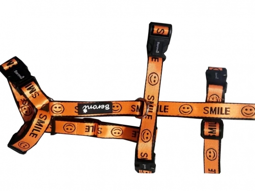 Sicherheitsgeschirr Safety Harness SMILE orange Gre M/L