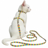 Beroni Ktzchengeschirr Rainbow mit Leine fr kleine Katzen