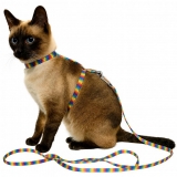 Beroni Ktzchengeschirr Rainbow mit Leine fr kleine Katzen