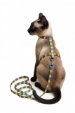 Beroni Ktzchengeschirr Rainbow mit Leine fr kleine Katzen