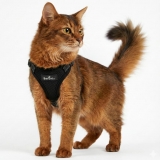 Beroni� Comfort Plus Harness reflektierend + ausbruchsicher mit Leine SETPREIS