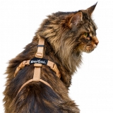 Beroni Master Safety Harness NEUENTWICKLUNG