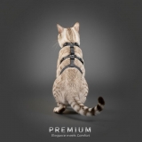 Beroni Master Safety Harness NEUENTWICKLUNG