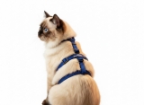 Beroni� Master Safety Harness NEUENTWICKLUNG