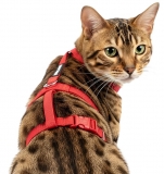 Panikgeschirr Sicherheitsgeschirr Safety Harness Classic rot AUSBRUCHSICHER