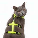 Panikgeschirr Sicherheitsgeschirr Safety Harness Gentle NEON ausbruchsicher