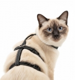 Panikgeschirr Sicherheitsgeschirr Safety Harness Pro AUSBRUCHSICHER