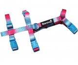 Panikgeschirr Sicherheitsgeschirr Safety Harness Rainbow sky AUSBRUCHSICHER Panikgeschirr Sicherheitsgeschirr Safety Harness Rainbow sky AUSBRUCHSICHER