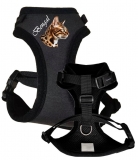 Quick Snap Katzengeschirr Cat Breeds