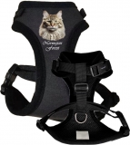 Quick Snap Katzengeschirr Cat Breeds