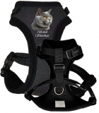 Quick Snap Katzengeschirr Cat Breeds