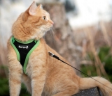 Quick Snap Katzengeschirr schwarz-grn