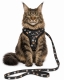 Beroni� Comfort Plus Harness Meow Friends Katzengeschirr