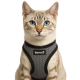 Easy Walking Katzengeschirr 2.0 ausbruchsicher nicht ber Kopf grau