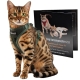 Easy Walking Katzengeschirr 2.0 ausbruchsicher nicht �ber Kopf gr�n-camouflage