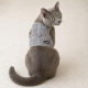 Kitty Jacket Katzengeschirr Looking schwarz Maine Coon Norwegische Waldkatze uvm