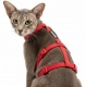 Panikgeschirr Sicherheitsgeschirr Safety Harness Classic rot AUSBRUCHSICHER