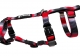 Panikgeschirr Sicherheitsgeschirr Safety Harness Rainbow red AUSBRUCHSICHER