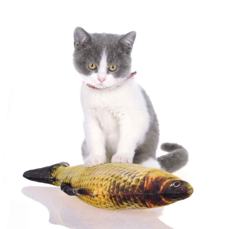 Katzenspielzeug Fisch 3D Barsch wie real mit Katzenminze