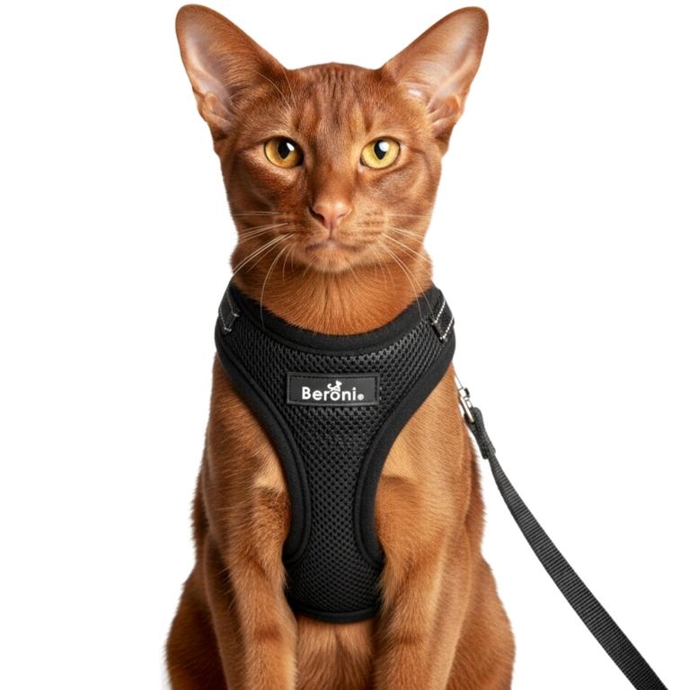 Beroni� Comfort Plus Harness reflektierend + ausbruchsicher mit Leine SETPREIS