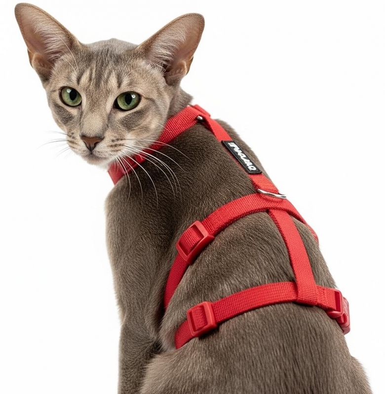 Panikgeschirr Sicherheitsgeschirr Safety Harness Classic rot AUSBRUCHSICHER