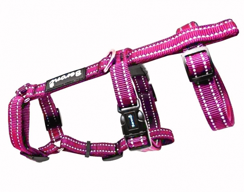 Panikgeschirr Sicherheitsgeschirr Safety Harness Pro MAGENTA ausbruchsicher