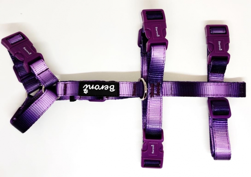 Panikgeschirr Sicherheitsgeschirr Safety Harness Rainbow purple AUSBRUCHSICHER