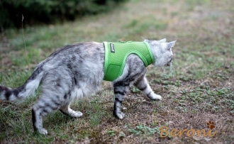 Beroni® Katzengeschirr Jacket super soft CLASSIC grün