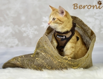 Beroni Katzengeschirr NEW CAMOUFLAGE Softgeschirr braun mit Sicherheitsverschluss